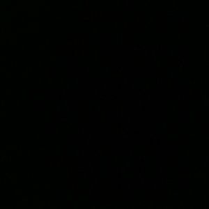 Meet your Posher, Jazmin